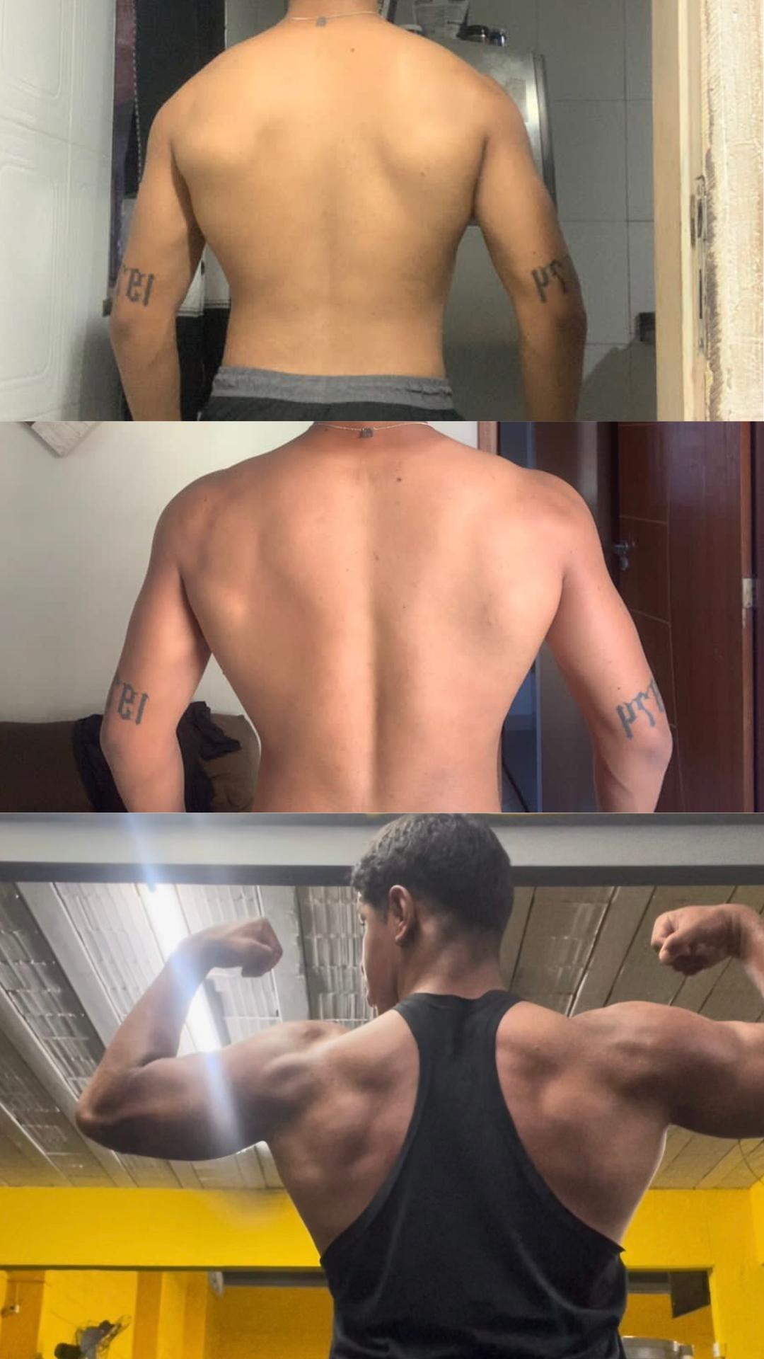 Resultado de aluno — Costas e braços construídos com técnica